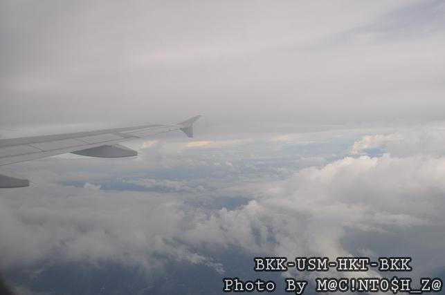 DSC_1137_resize.jpg